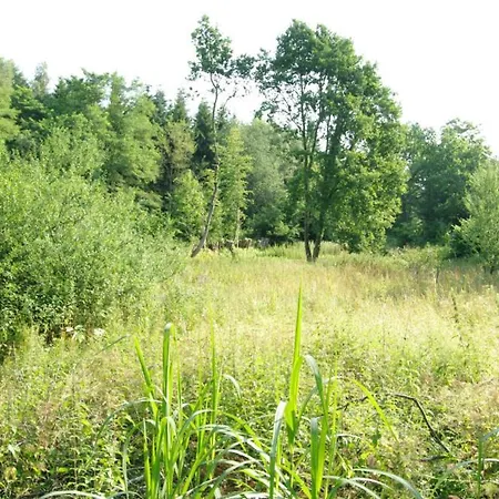 Ferienwohnung Hubertushohe *